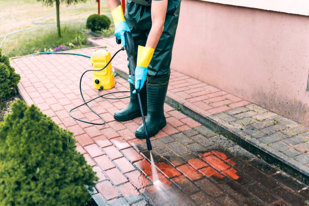 Best Sidewalk and Walkway Cleaning  in Seyur, MO